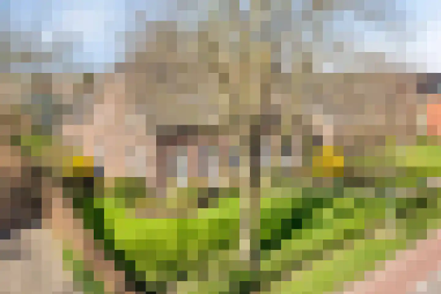 Meterikseweg 120 Horst thumbnail 64