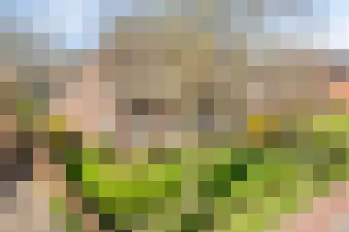 Meterikseweg 120 Horst thumbnail 64