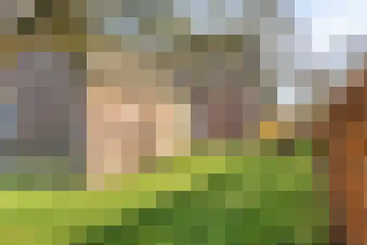 Meterikseweg 120 Horst thumbnail 65