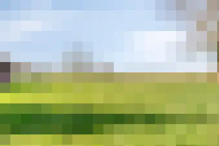 Meterikseweg 120 Horst thumbnail 66