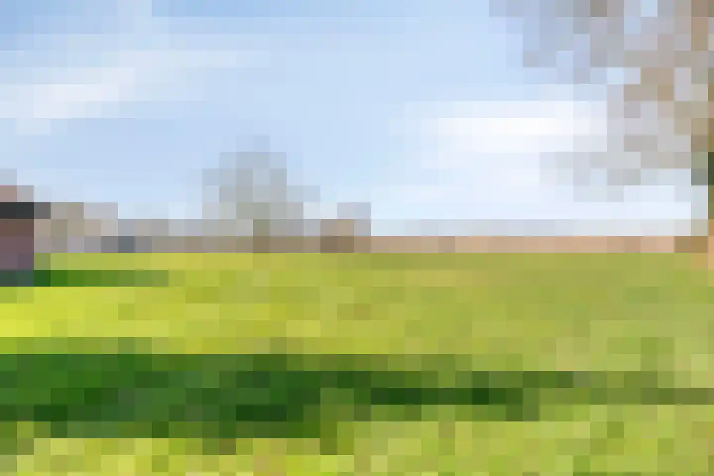 Meterikseweg 120 Horst thumbnail 66