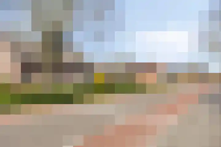 Meterikseweg 120 Horst thumbnail 7