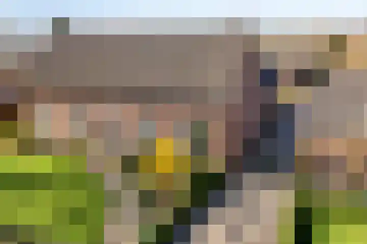 Meterikseweg 120 Horst thumbnail 8