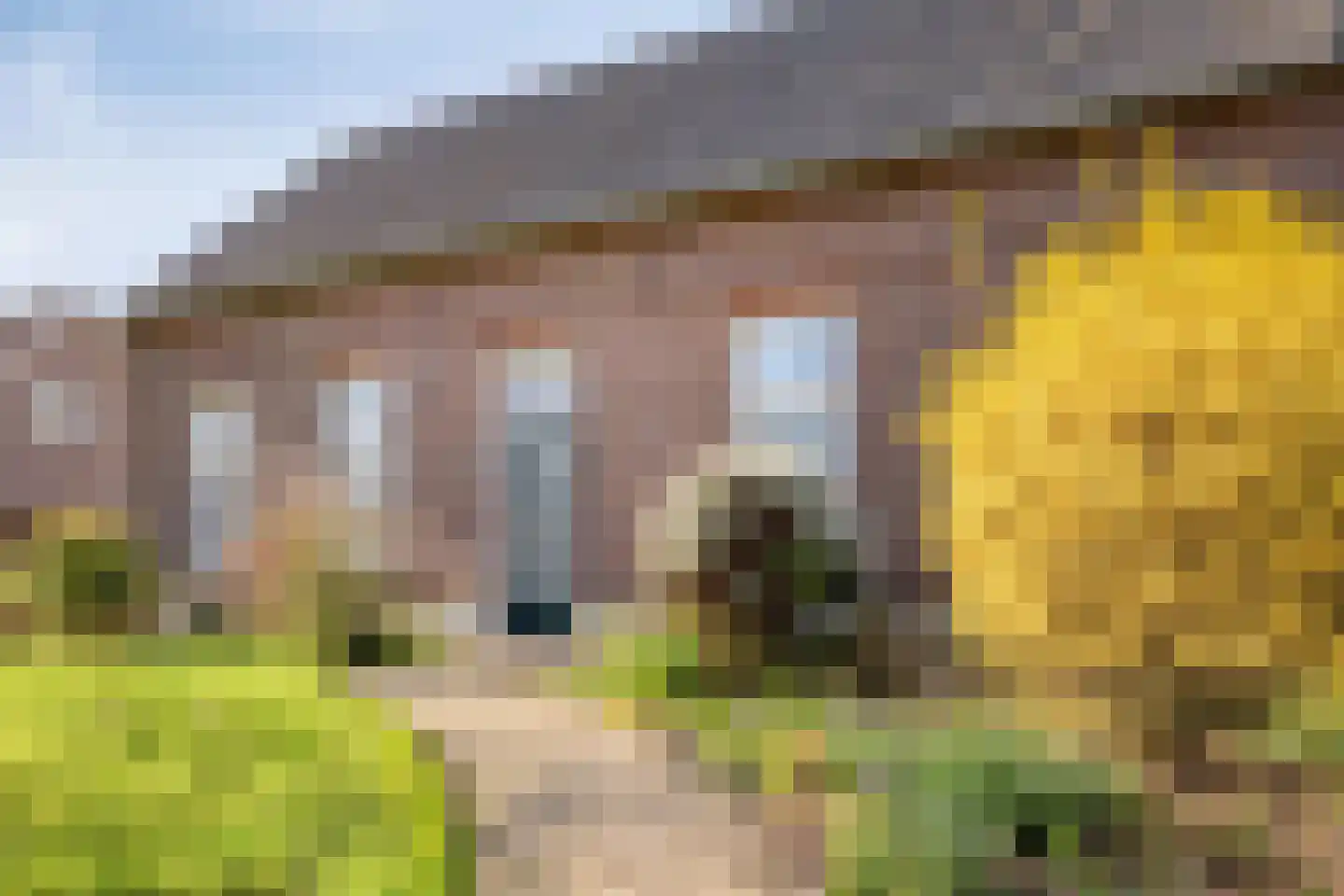 Meterikseweg 120 Horst thumbnail 9