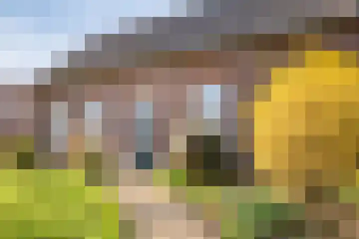 Meterikseweg 120 Horst thumbnail 9