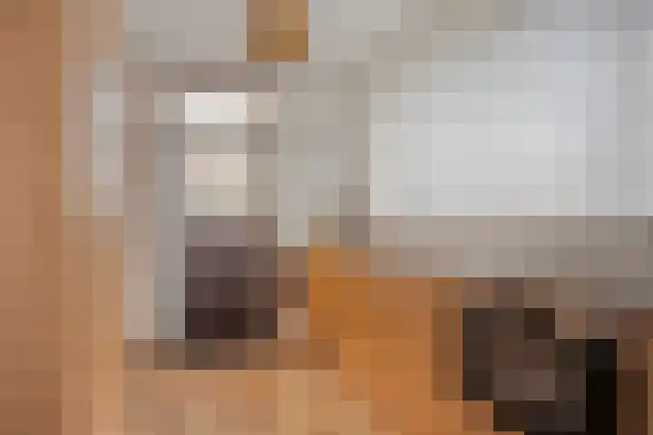 Meterikseweg 34 Horst thumbnail 13
