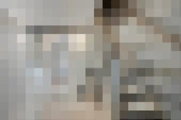 Meterikseweg 34 Horst thumbnail 30