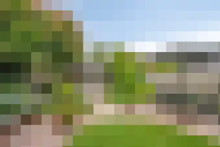Meterikseweg 34 Horst thumbnail 33