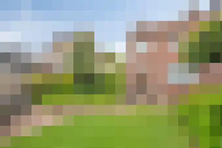Meterikseweg 34 Horst thumbnail 35
