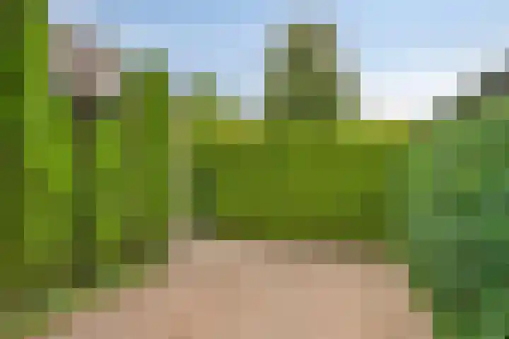 Meterikseweg 34 Horst thumbnail 38