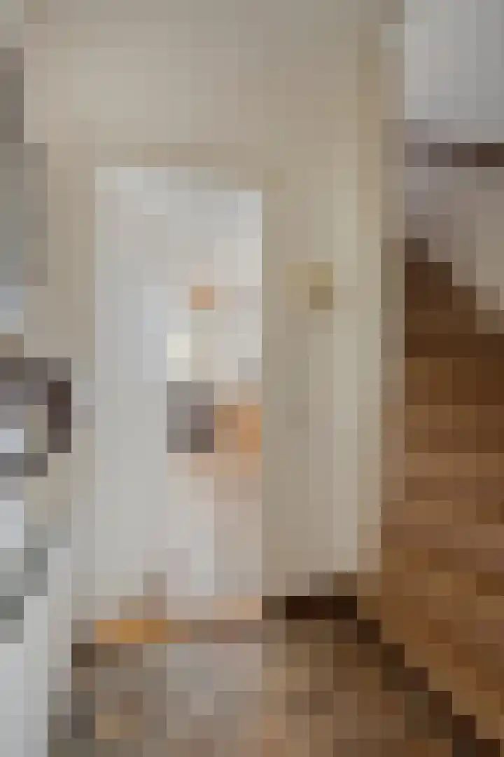 Meterikseweg 34 Horst thumbnail 6