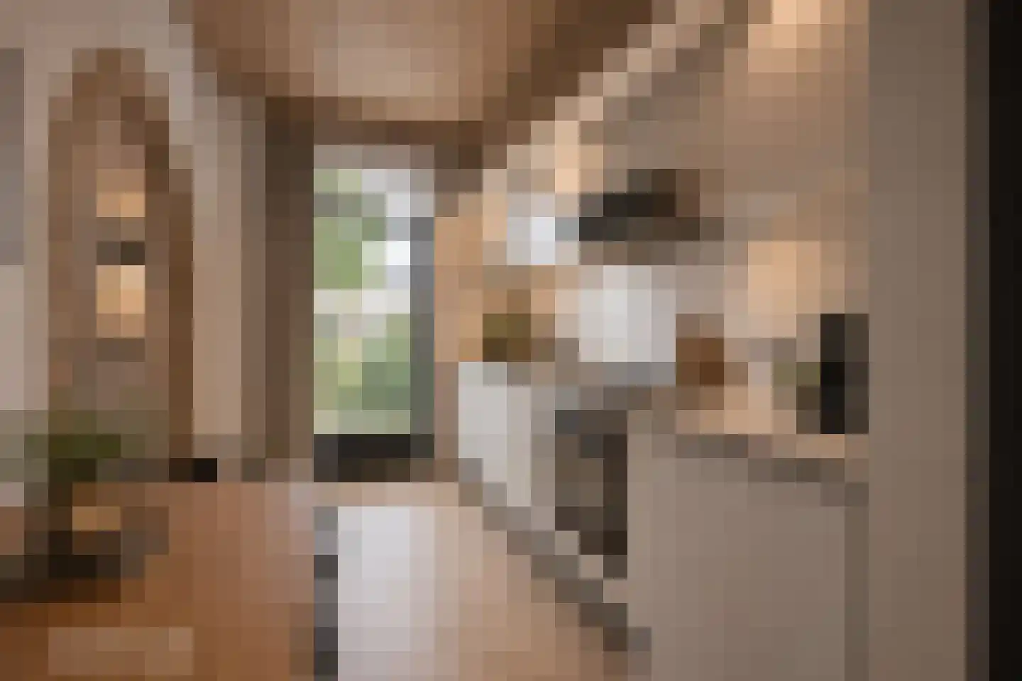 Meterikseweg 54 Horst thumbnail 16