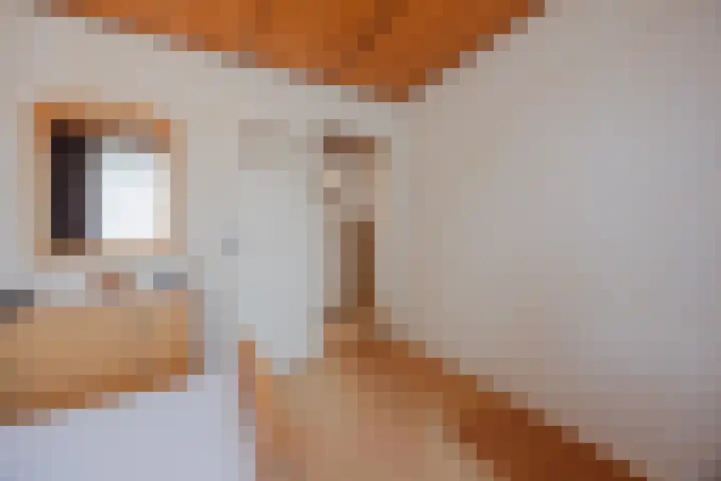 Meterikseweg 54 Horst thumbnail 19