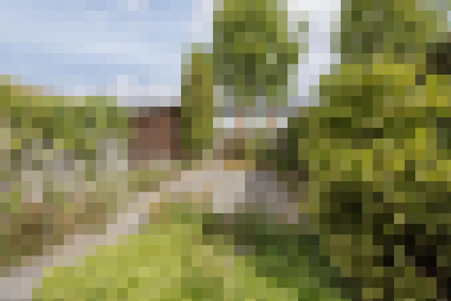 Meterikseweg 54 Horst thumbnail 37