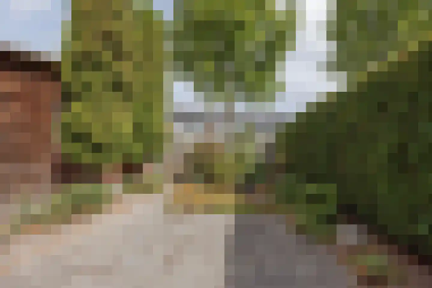 Meterikseweg 54 Horst thumbnail 39