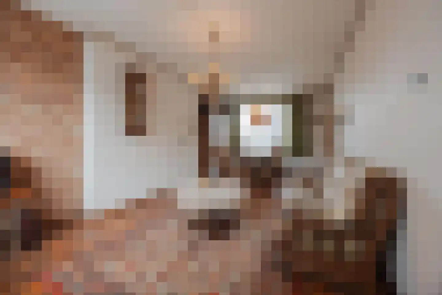 Meterikseweg 54 Horst thumbnail 4