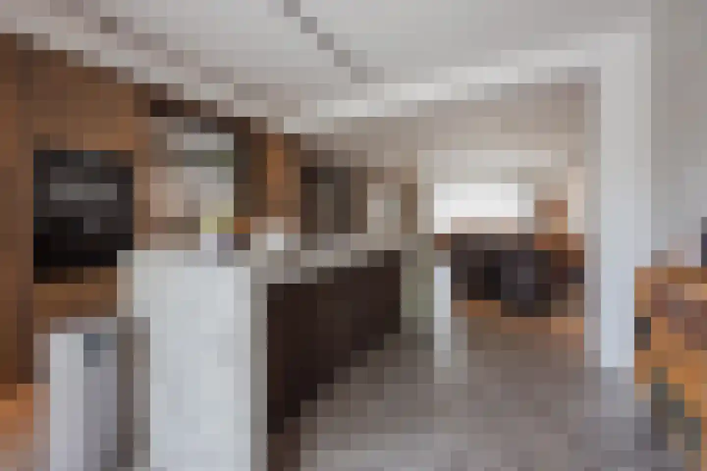 Meterikseweg 62 Horst thumbnail 18