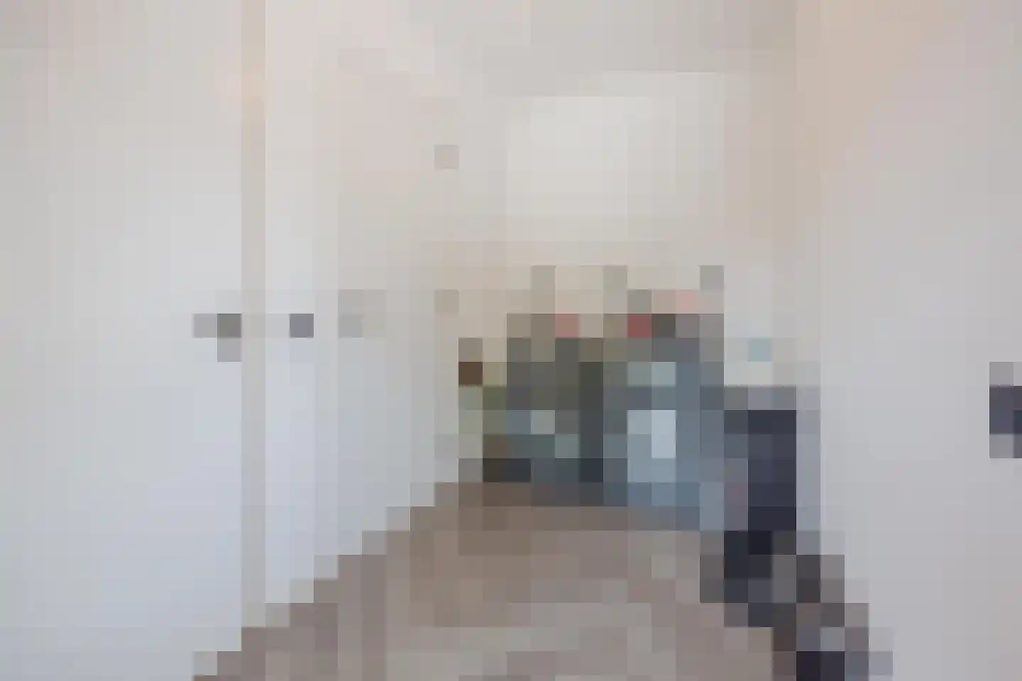Meterikseweg 62 Horst thumbnail 19