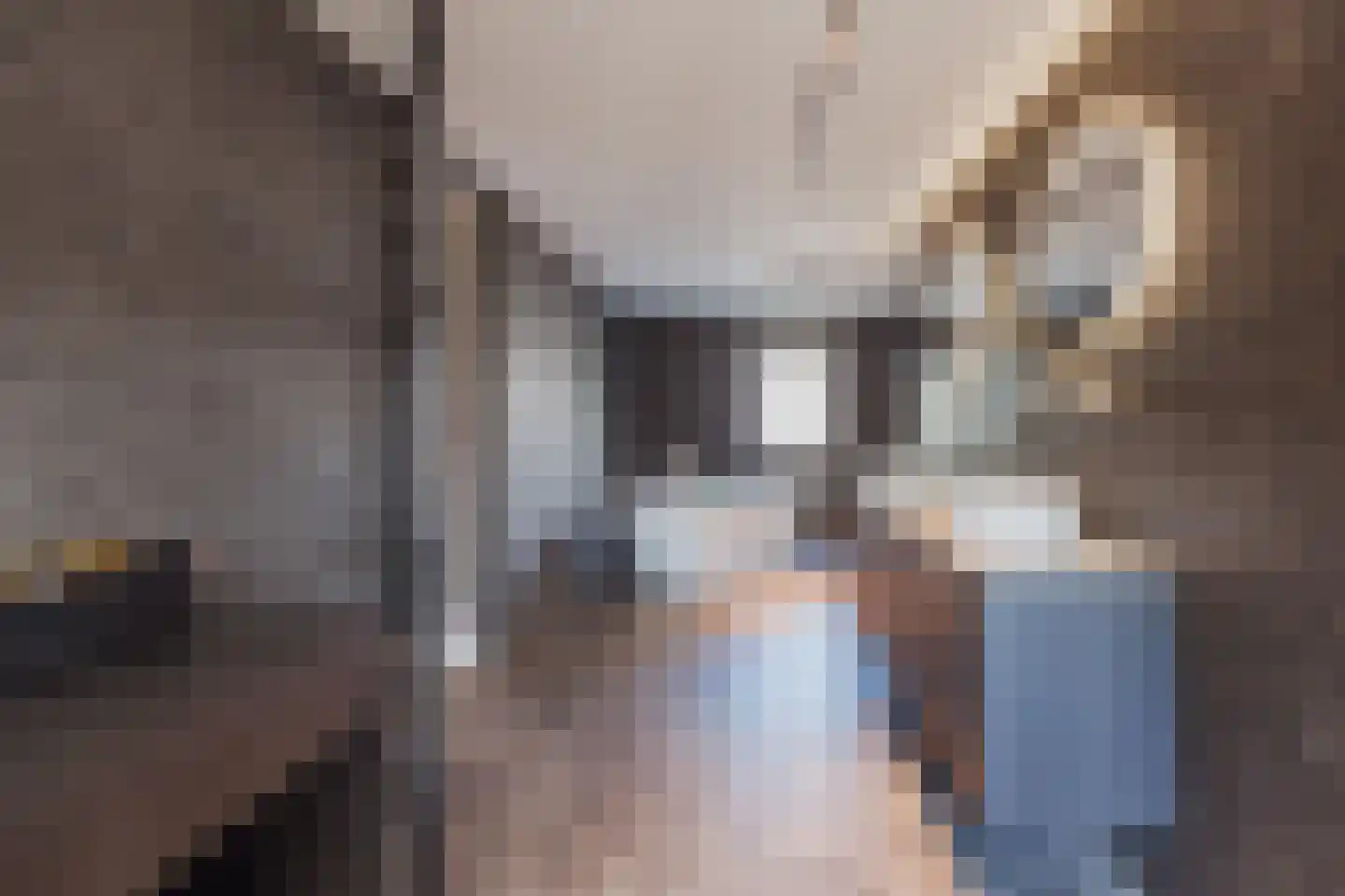 Meterikseweg 62 Horst thumbnail 26