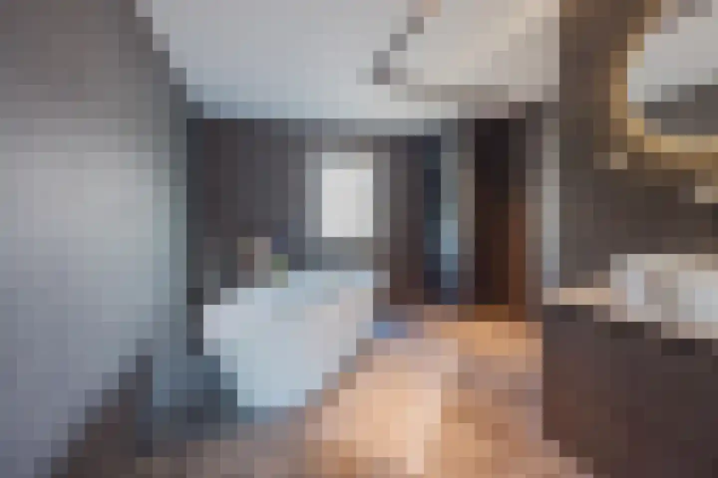 Meterikseweg 62 Horst thumbnail 28