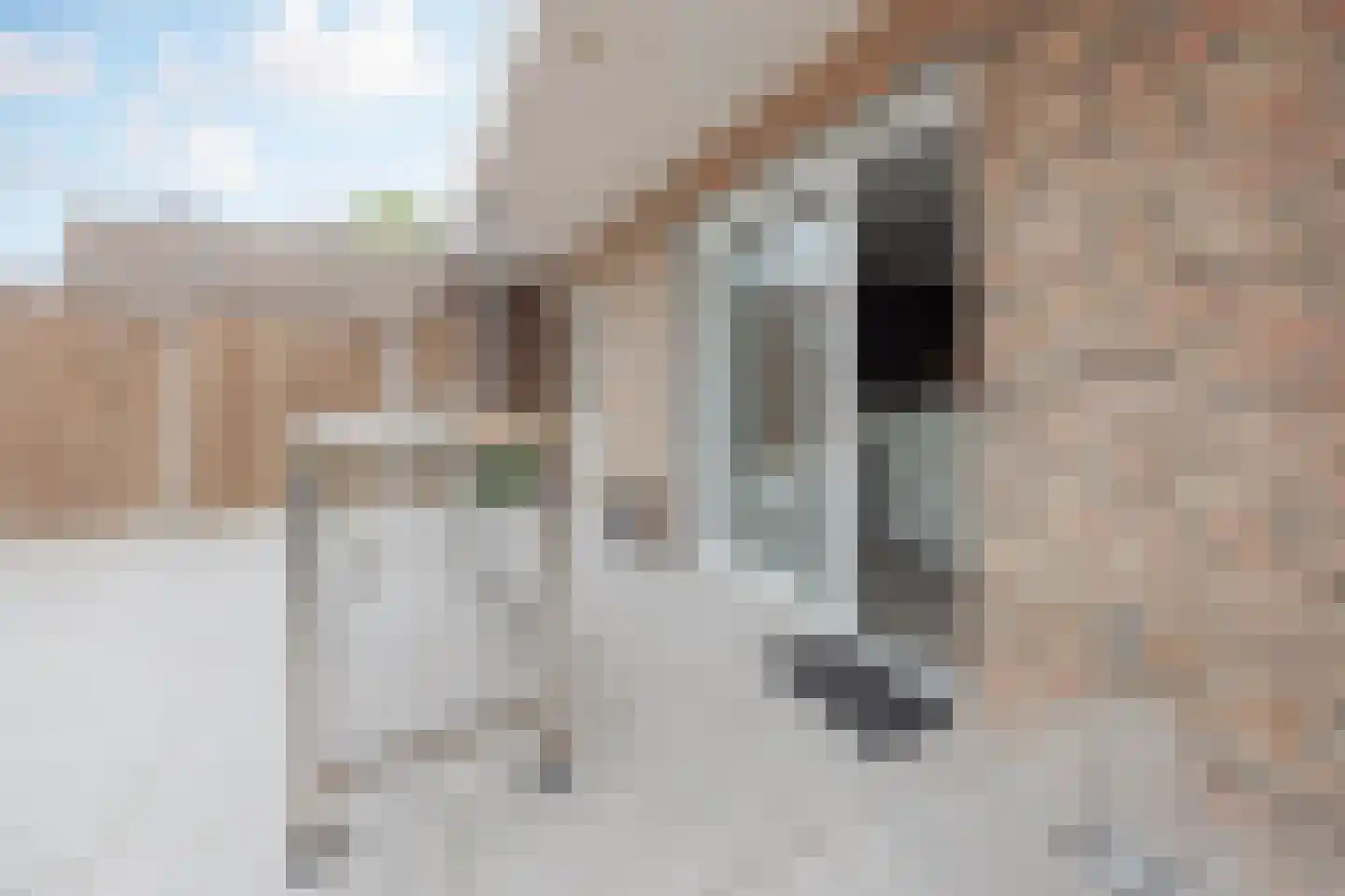 Meterikseweg 62 Horst thumbnail 42