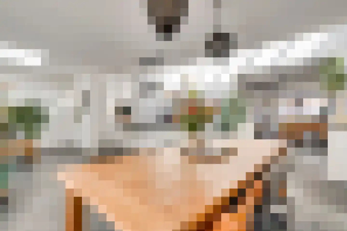 Meterikseweg 67 Horst thumbnail 18