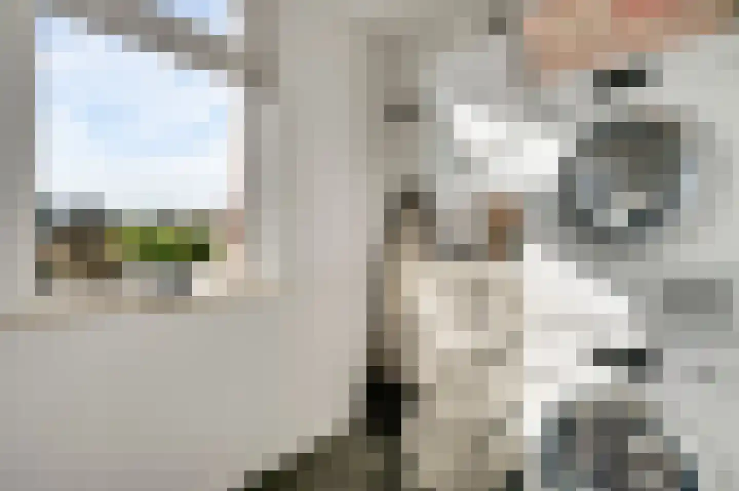 Meterikseweg 67 Horst thumbnail 27
