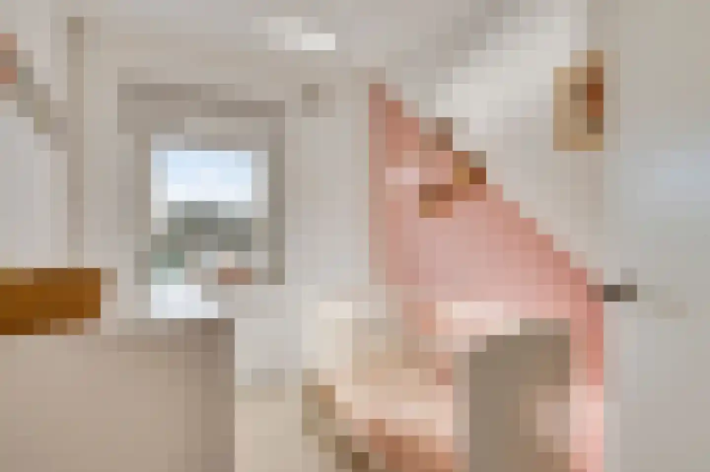 Meterikseweg 67 Horst thumbnail 32
