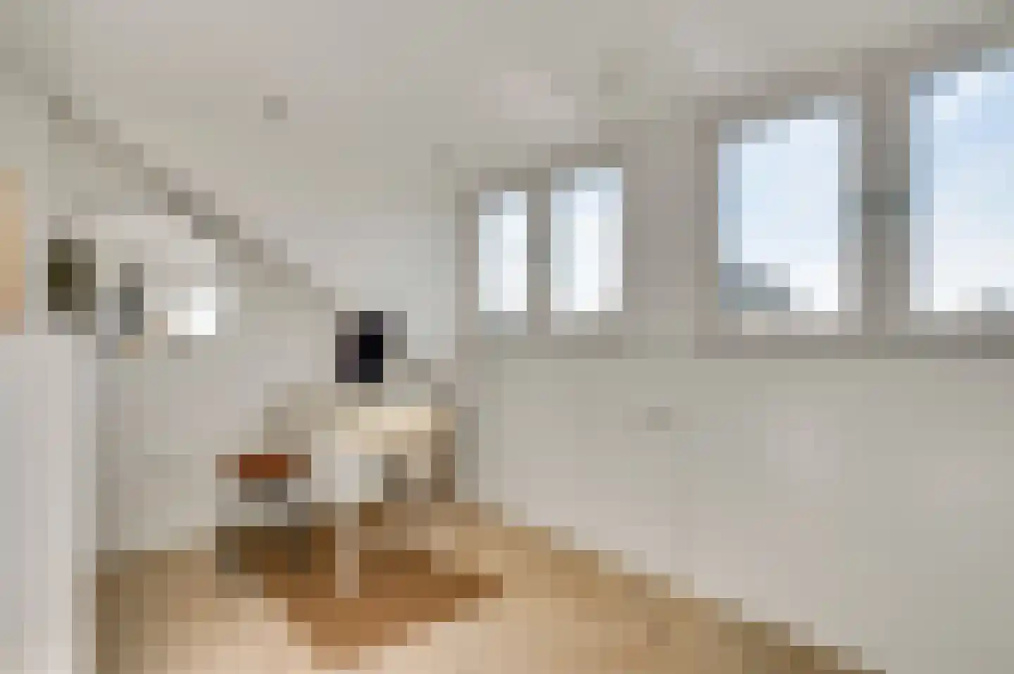 Meterikseweg 67 Horst thumbnail 40