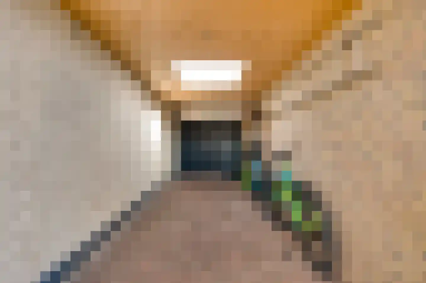 Meterikseweg 67 Horst thumbnail 43