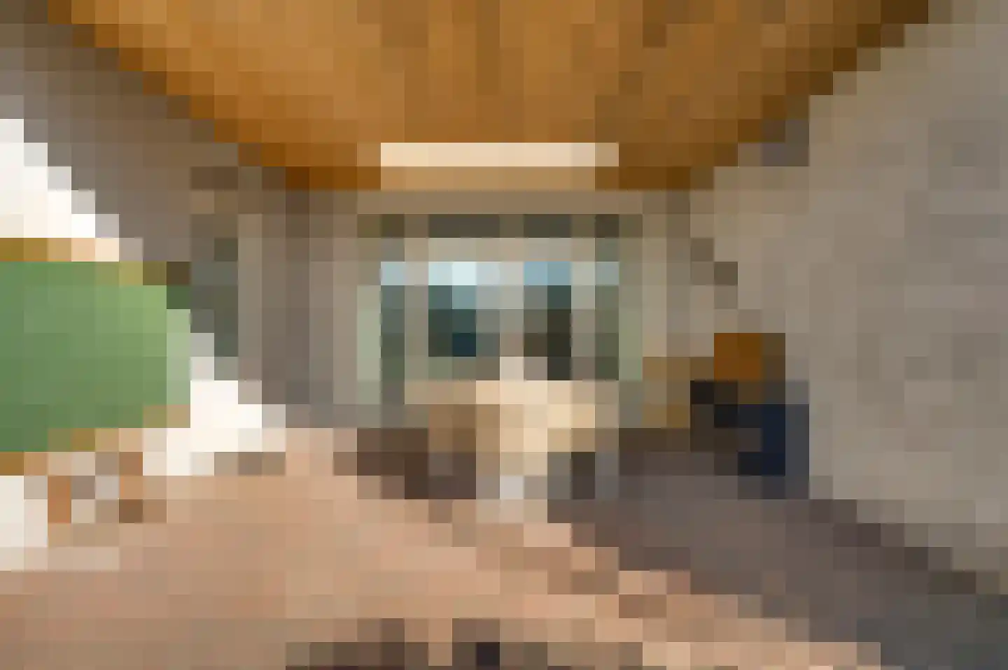Meterikseweg 67 Horst thumbnail 44