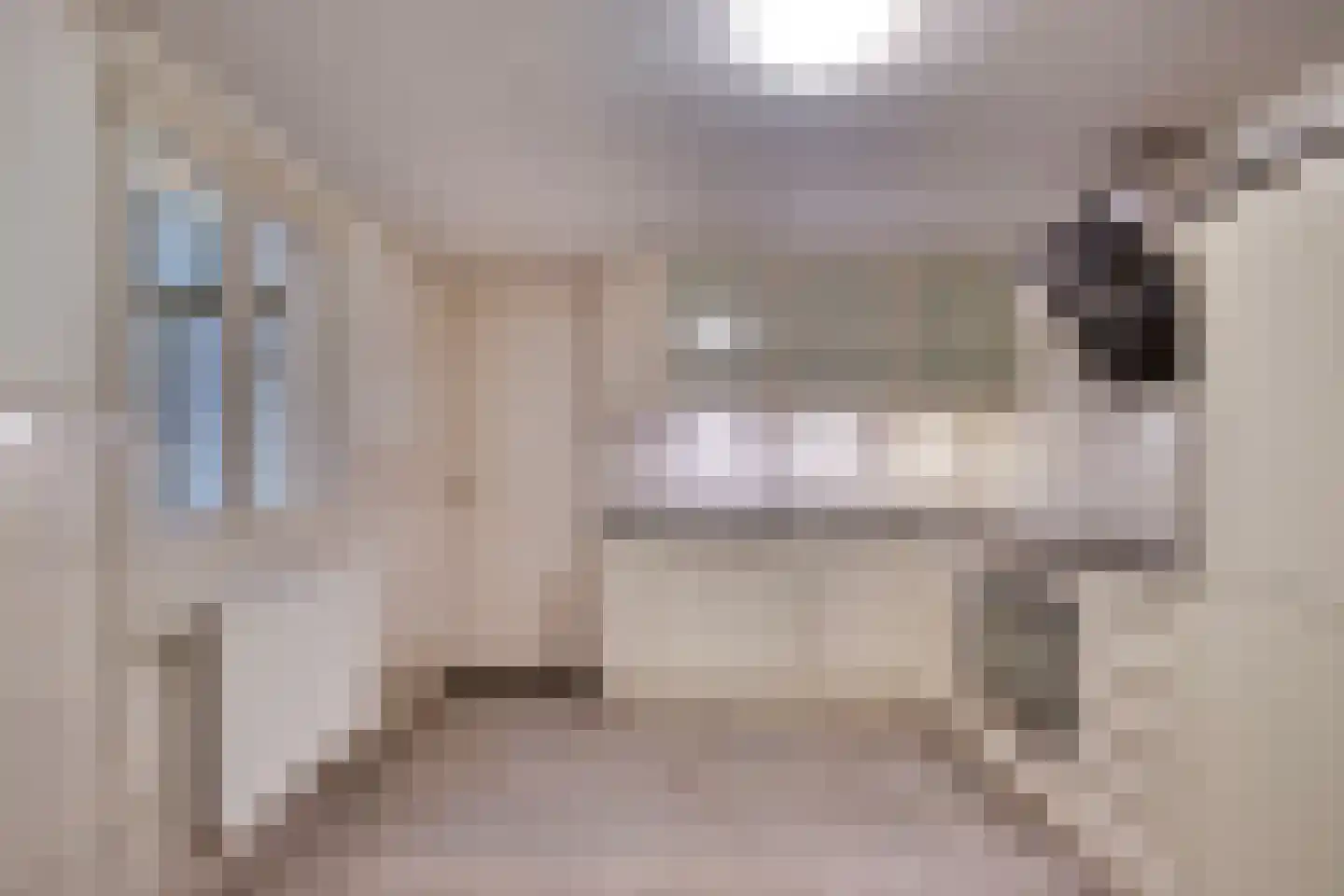 Meterikseweg 68 Horst thumbnail 13
