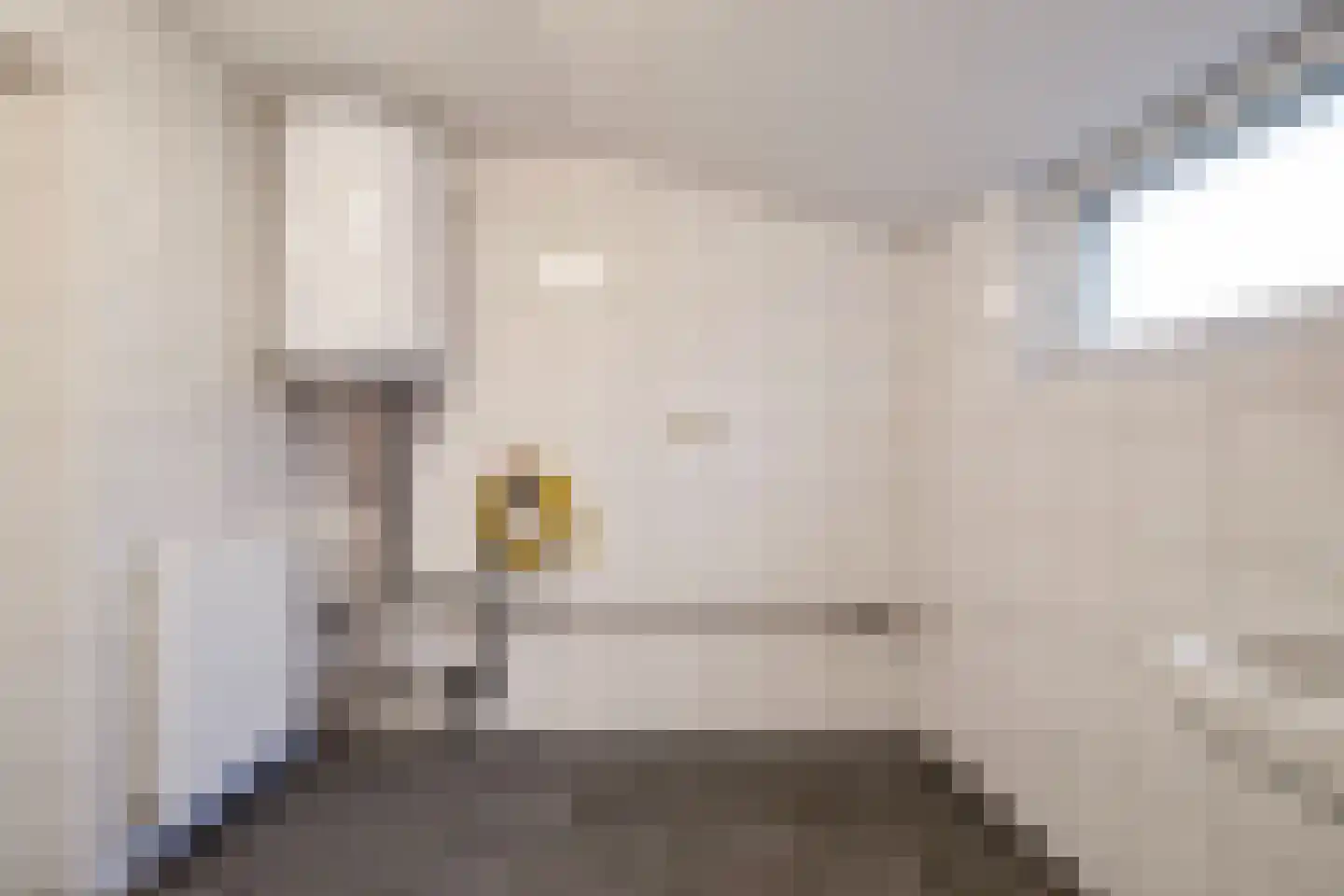 Meterikseweg 68 Horst thumbnail 14
