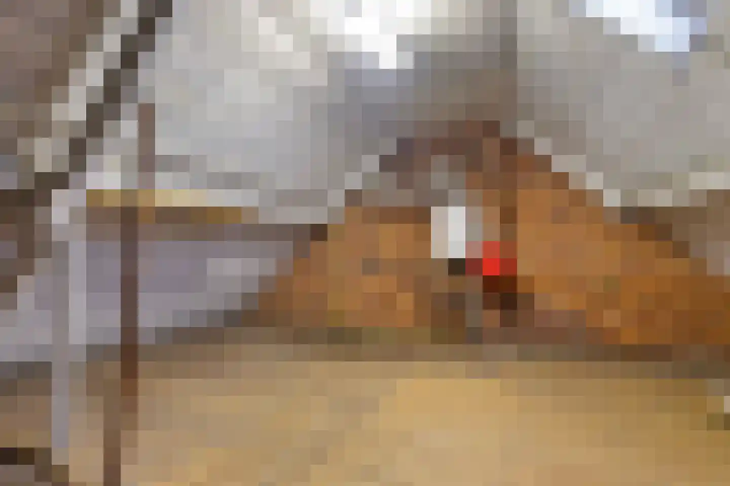Meterikseweg 68 Horst thumbnail 22