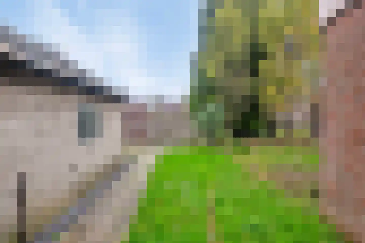 Meterikseweg 68 Horst thumbnail 28