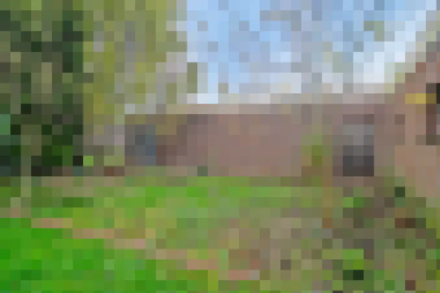 Meterikseweg 68 Horst thumbnail 29
