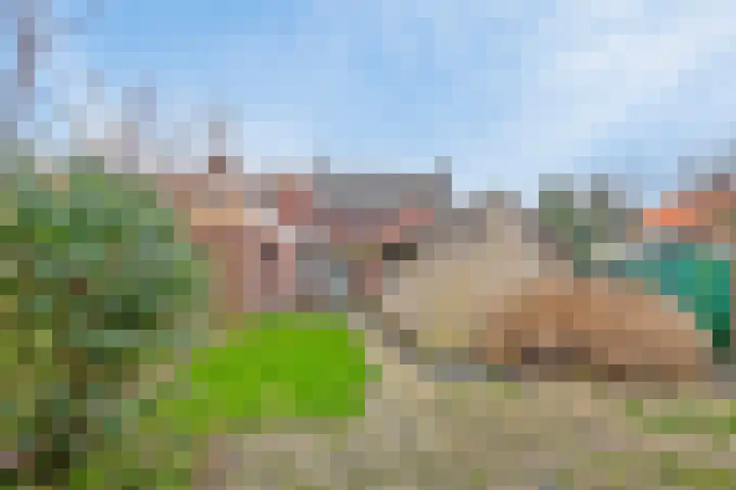 Meterikseweg 68 Horst thumbnail 30