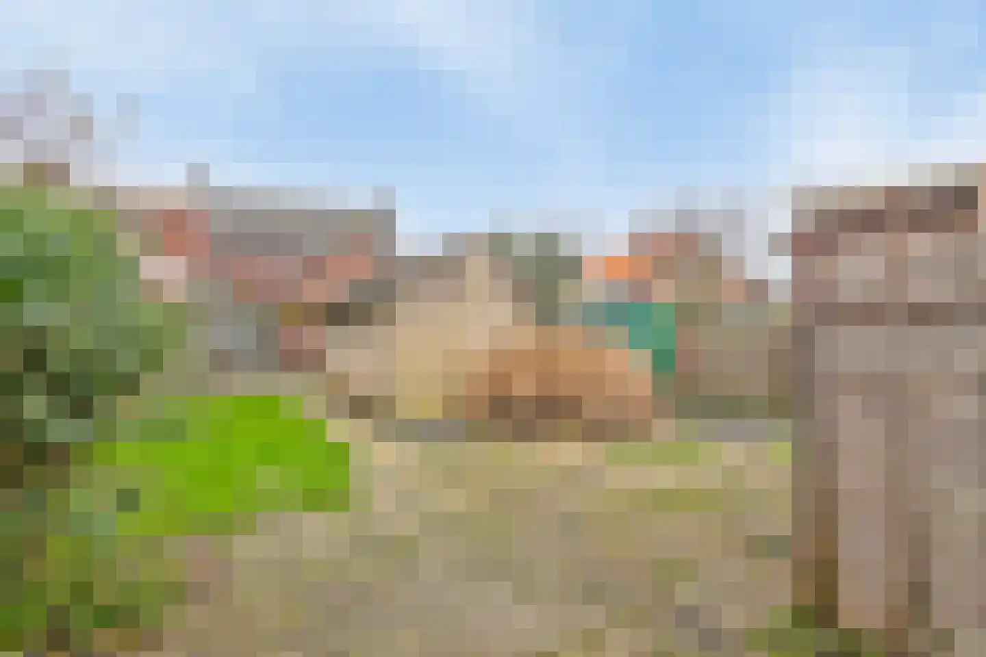 Meterikseweg 68 Horst thumbnail 31