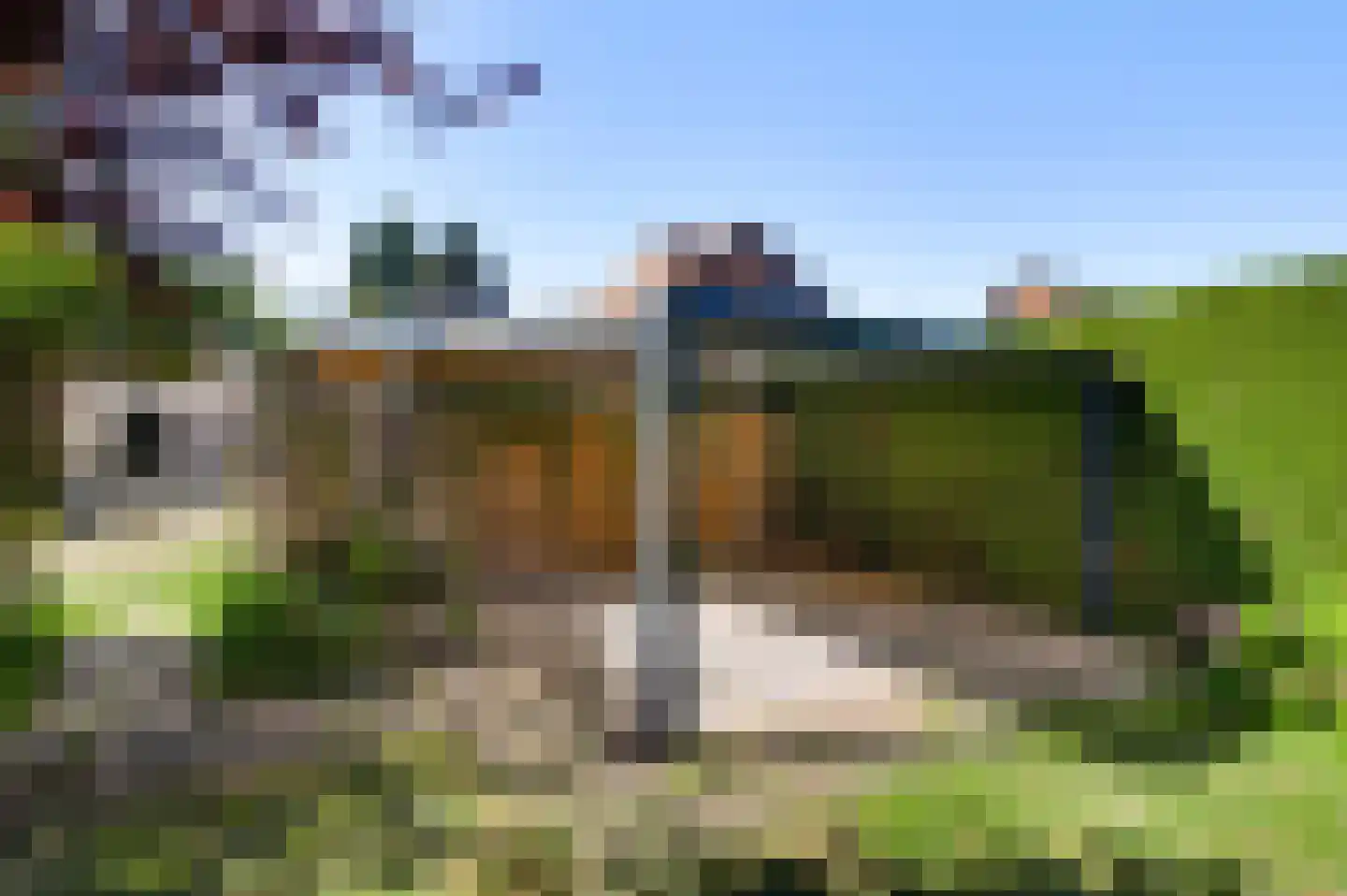 Meterikseweg 70 Horst thumbnail 34
