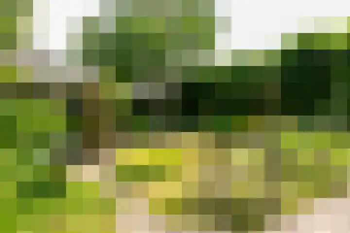 Methorsterweg 25 Rheden thumbnail 25