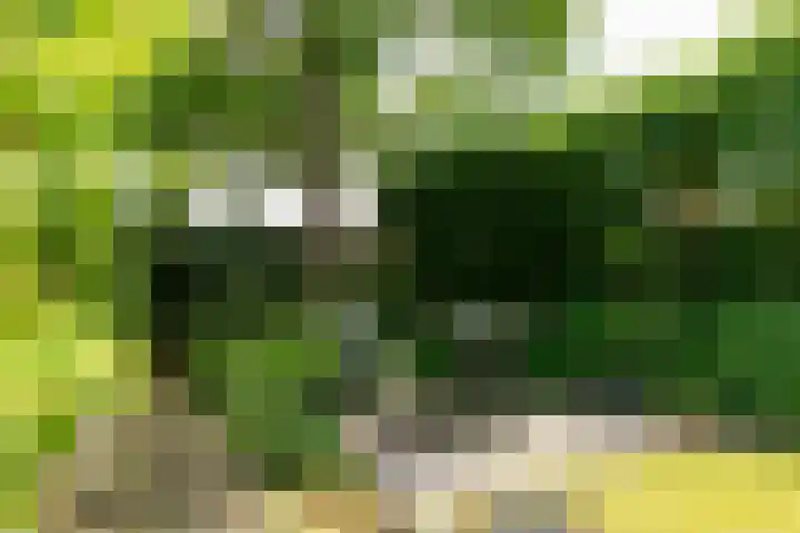 Methorsterweg 25 Rheden thumbnail 26