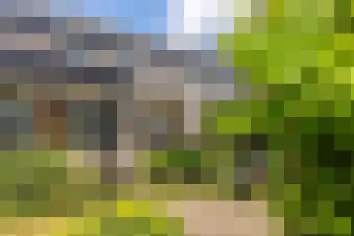 Methorsterweg 25 Rheden thumbnail 27