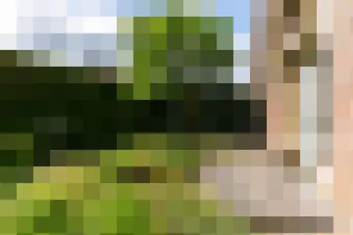 Methorsterweg 25 Rheden thumbnail 28