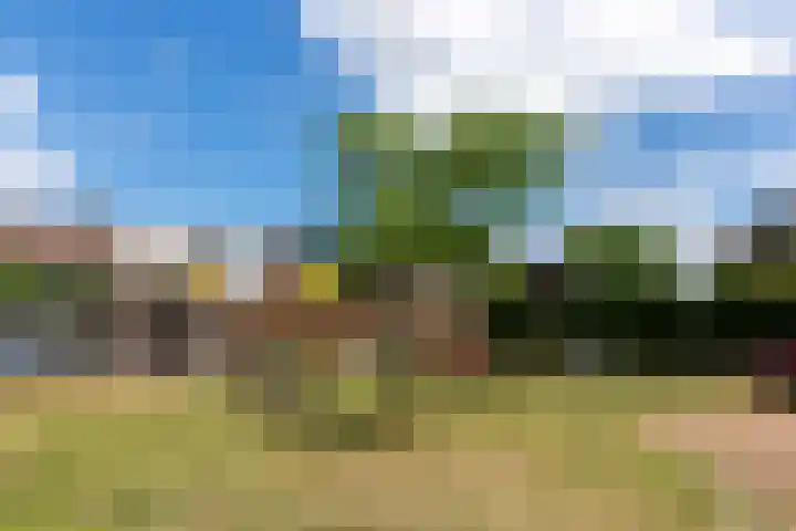 Methorsterweg 25 Rheden thumbnail 31