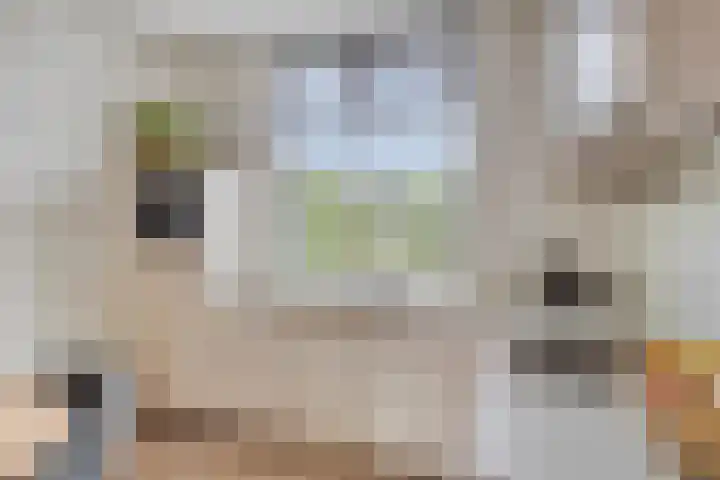 Methorsterweg 31 Rheden thumbnail 11