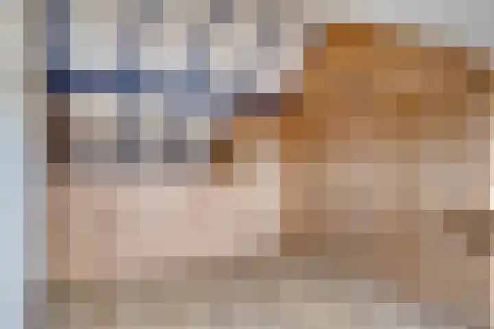 Methorsterweg 31 Rheden thumbnail 22