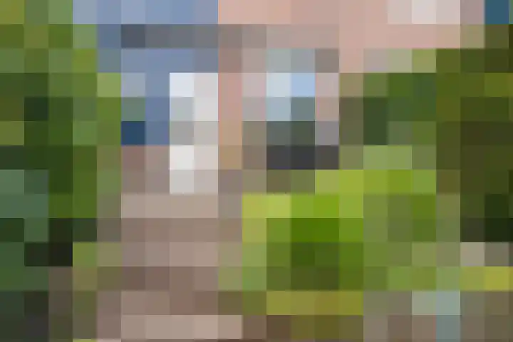 Methorsterweg 31 Rheden thumbnail 24