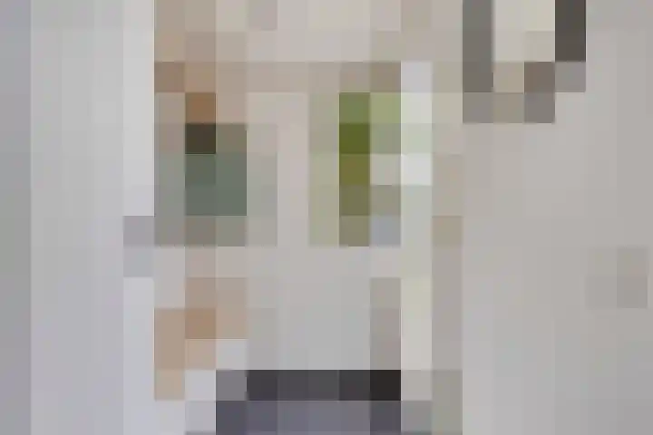 Methorsterweg 31 Rheden thumbnail 4