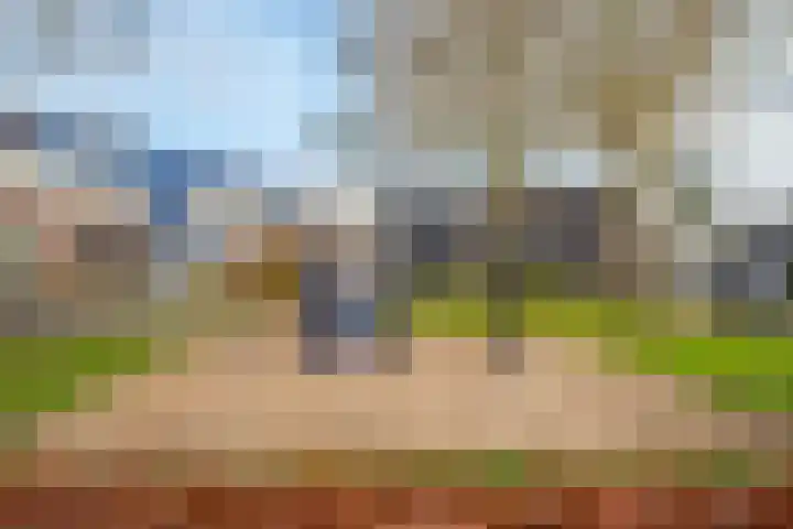 Methorsterweg 55 Rheden thumbnail 5