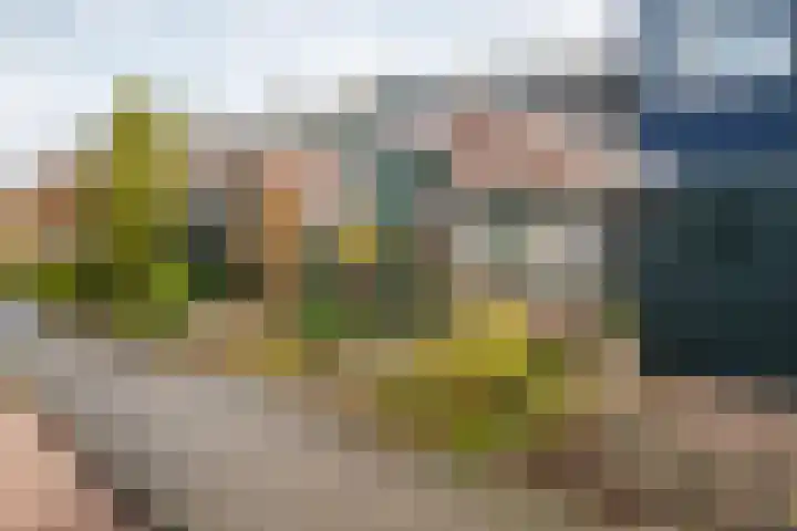 Methorsterweg 55 Rheden thumbnail 9